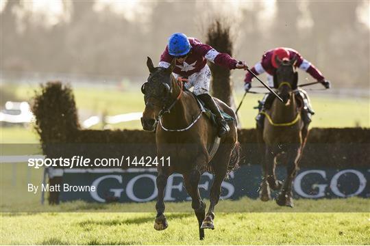 Gowran Park Races