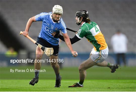 Dublin v Offaly - Allianz Hurling League Division 1B Round 1