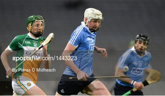 Dublin v Offaly - Allianz Hurling League Division 1B Round 1