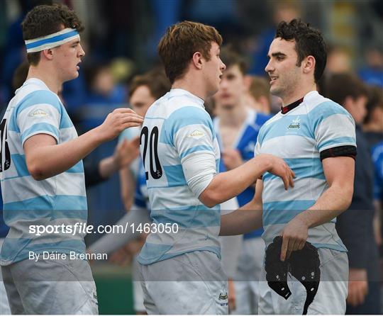 St Mary's College v Blackrock College - Bank of Ireland Leinster Schools Senior Cup Semi-Final