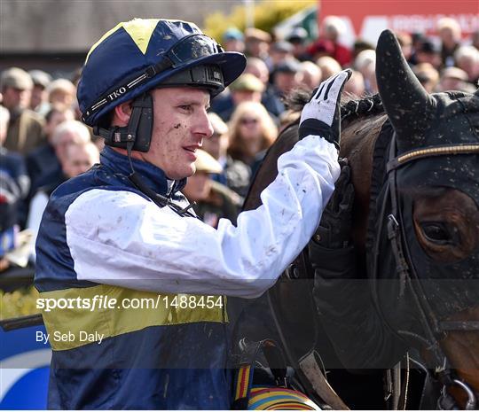 Punchestown Festival - Gold Cup Day