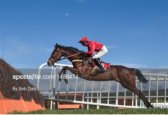 Punchestown Festival - Gold Cup Day