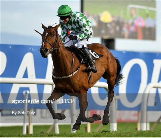 Punchestown Festival - Gold Cup Day