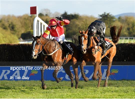 Punchestown Festival - Gold Cup Day