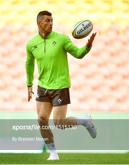 Ireland rugby squad captain's run