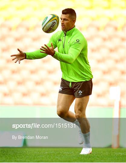 Ireland rugby squad captain's run