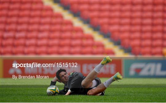 Ireland rugby squad captain's run