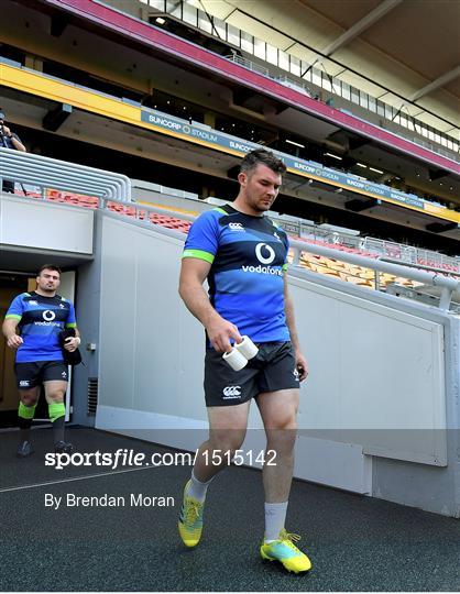 Ireland rugby squad captain's run