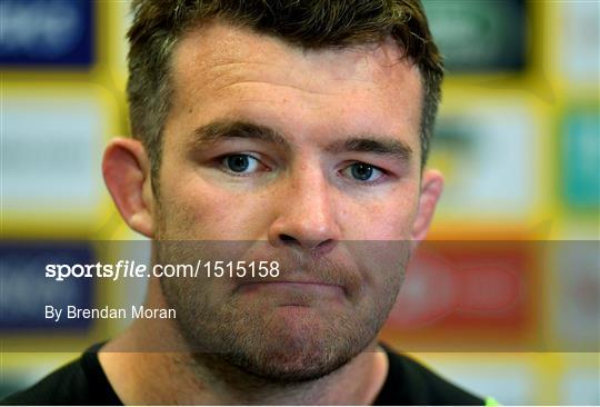 Ireland rugby squad captain's run