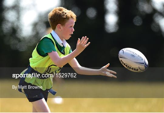 Bank of Ireland Leinster Rugby Summer Camp - Wexford Wanderers RFC