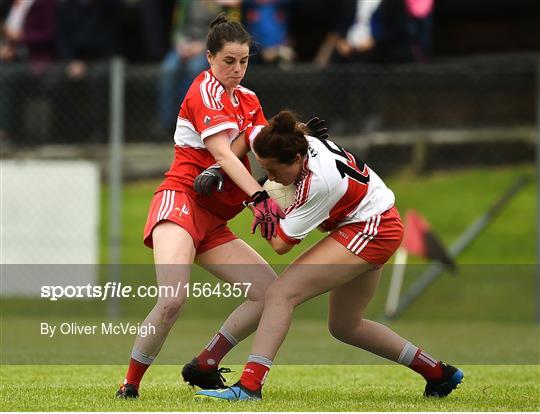 Derry v Louth - TG4 All-Ireland Junior Championship Semi Final