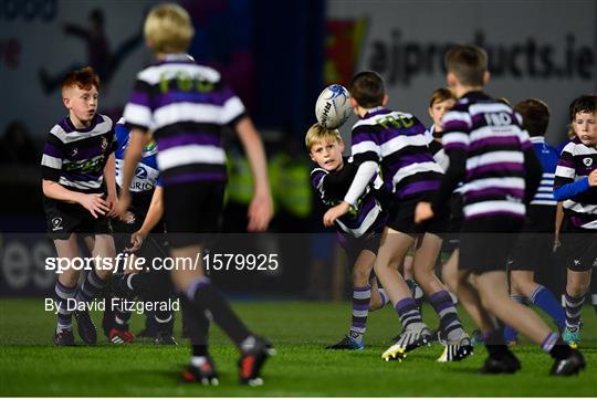 Bank of Ireland Half-Time Minis at Leinster v Edinburgh - Guinness PRO14 Round 4