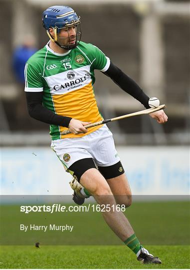 Dublin v Offaly - Bord na Móna Walsh Cup Round 2