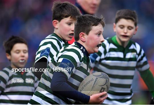 Bank of Ireland Half-Time Minis at Leinster v Toulouse - Heineken Champions Cup Pool 1 Round 5