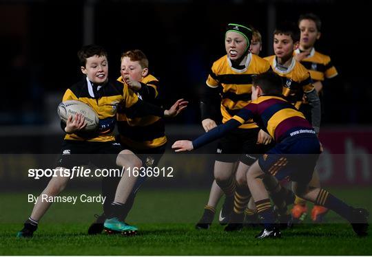 Bank of Ireland Half-Time Minis at Leinster v Scarlets - Guinness PRO14 Round 14