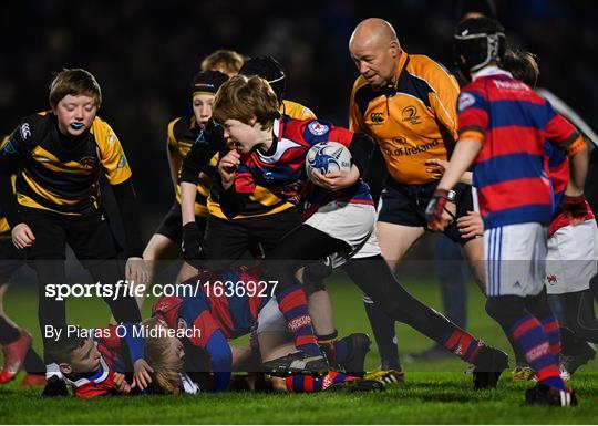 Bank of Ireland Half-Time Minis at Leinster v Scarlets - Guinness PRO14 Round 14