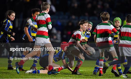Bank of Ireland Half-Time Minis at Leinster v Toyota Cheetahs - Guinness PRO14 Round 17