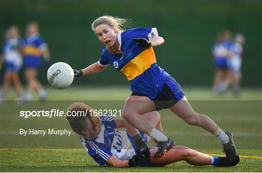 Dundalk Institute of Technology v Letterkenny Institute of Technology - Gourmet Food Parlour Moynihan Cup Final