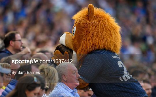 Supporters at Leinster v Toulouse - Heineken Champions Cup Semi-Final