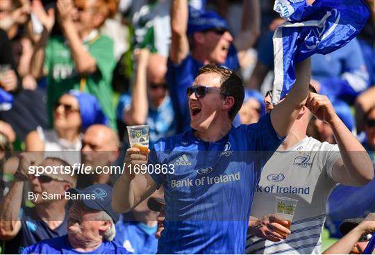 Supporters at Leinster v Toulouse - Heineken Champions Cup Semi-Final