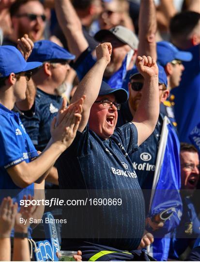 Supporters at Leinster v Toulouse - Heineken Champions Cup Semi-Final