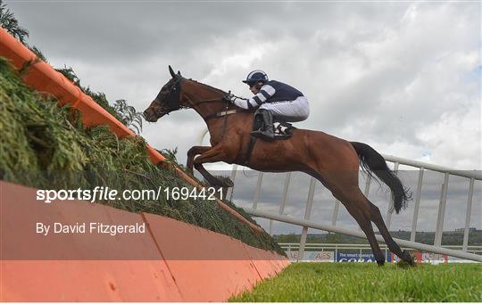 Punchestown Festival - Champion Stayers Hurdle Day