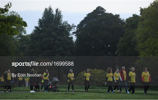 Darkness into light 2019