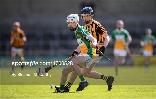 Kilkenny v Offaly - Electric Ireland Leinster GAA Hurling Minor Championship Round 3