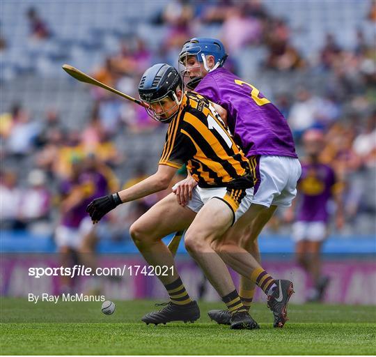 Kilkenny v Wexford - Electric Ireland Leinster GAA Hurling Minor Championship Final