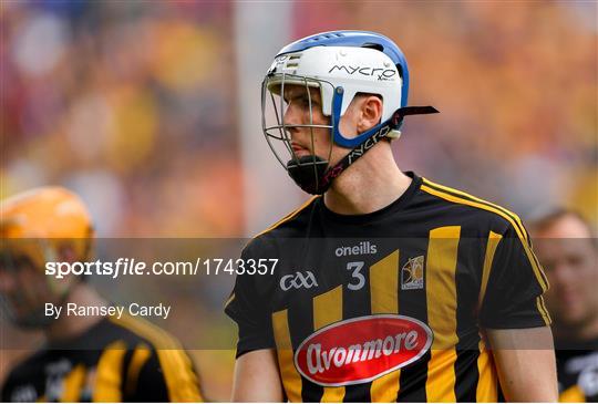 Kilkenny v Wexford - Leinster GAA Hurling Senior Championship Final