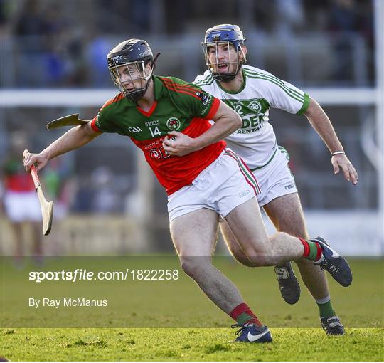 James Stephens v Ballyhale Shamrocks - Kilkenny Senior Hurling Club Championship Final