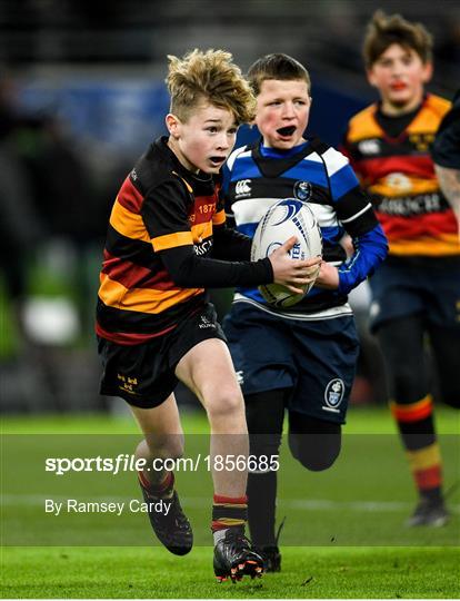 Bank of Ireland Half-Time Minis at Leinster v Northampton Saints - Heineken Champions Cup Pool 1 Round 4