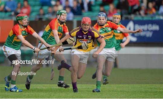 Wexford v Carlow - Bord Gáis Energy Leinster GAA Hurling Under 21 Championship Semi-Final