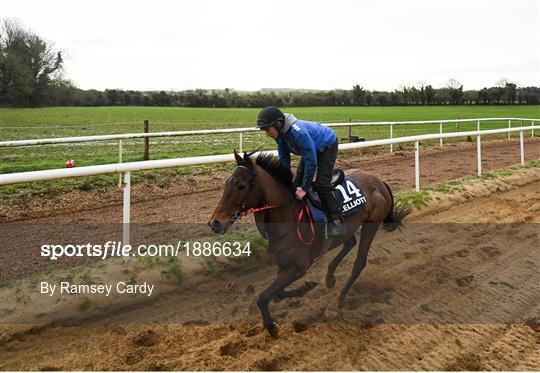 Gordon Elliott Yard Visit