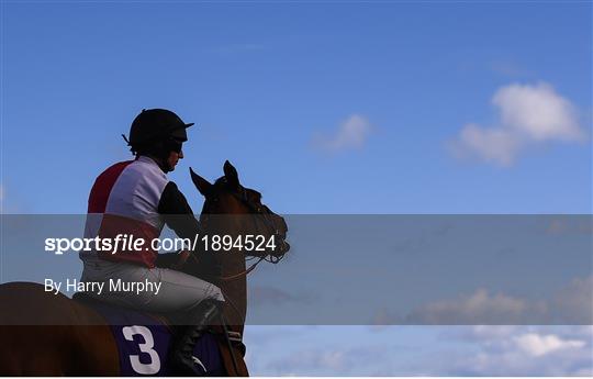 Horse Racing from Leopardstown