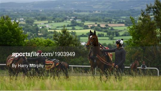 Joseph O'Brien Yard Visit