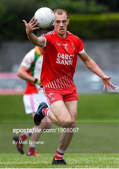 Tinahely v Kiltegan - Wicklow County Senior Football Championship Round 1