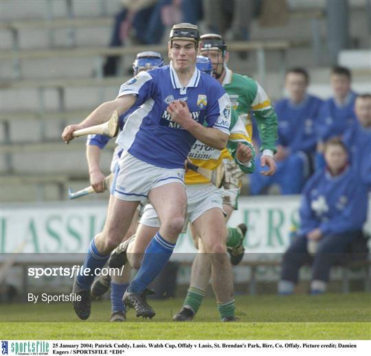 Offaly v Laois