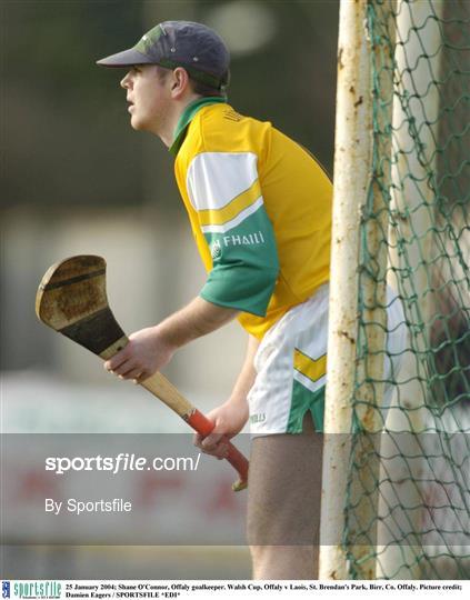 Offaly v Laois