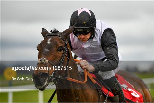 Point-to-Point Racing from Punchestown