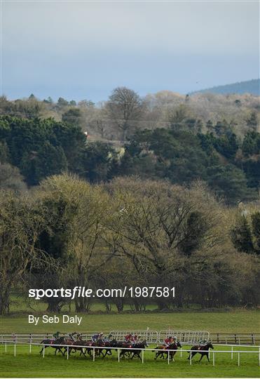 Point-to-Point Racing from Punchestown