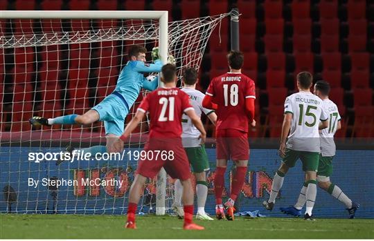 Serbia v Republic of Ireland - FIFA World Cup 2022 Qualifier