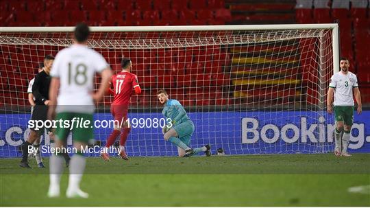 Serbia v Republic of Ireland - FIFA World Cup 2022 Qualifier