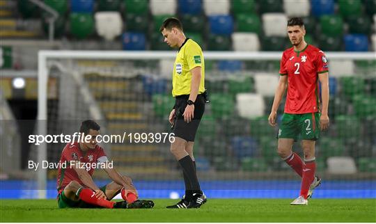 Northern Ireland v Bulgaria - FIFA World Cup 2022 Qualifier