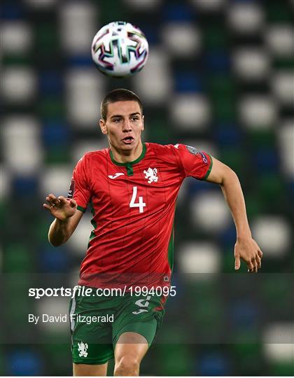 Northern Ireland v Bulgaria - FIFA World Cup 2022 Qualifier