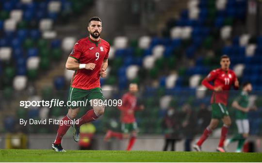 Northern Ireland v Bulgaria - FIFA World Cup 2022 Qualifier