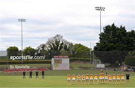 Louth v Antrim - Allianz Football League Division 4 North Round 1