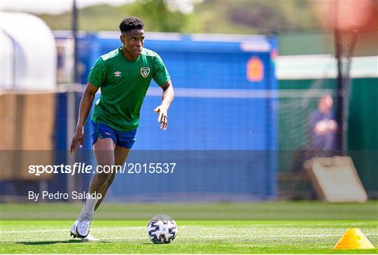 Republic of Ireland Training Session