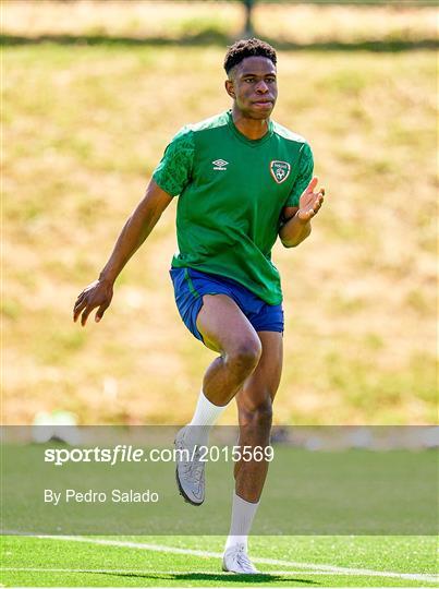 Republic of Ireland Training Session