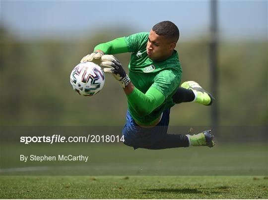 Republic of Ireland Training Session